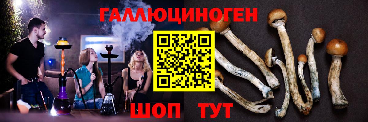 где купить   Галлюциногенные грибы GOLDEN TEACHER  Вход с VPN  Новокуйбышевск 